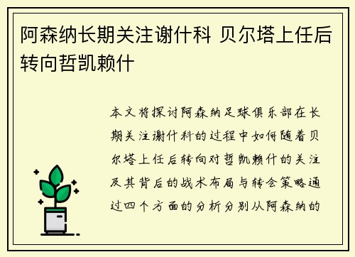 阿森纳长期关注谢什科 贝尔塔上任后转向哲凯赖什